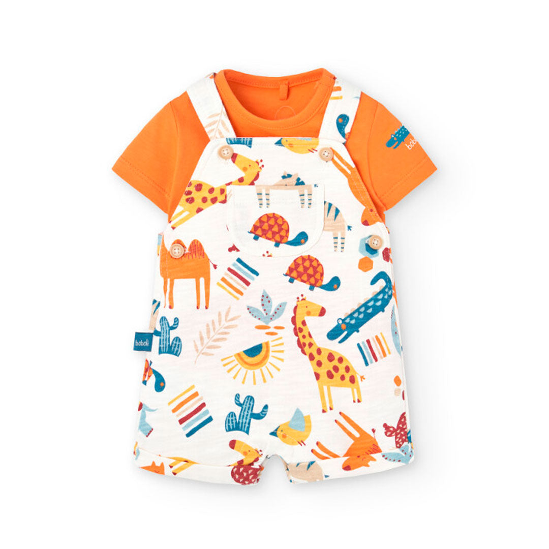 Conjunto Bebé Niño